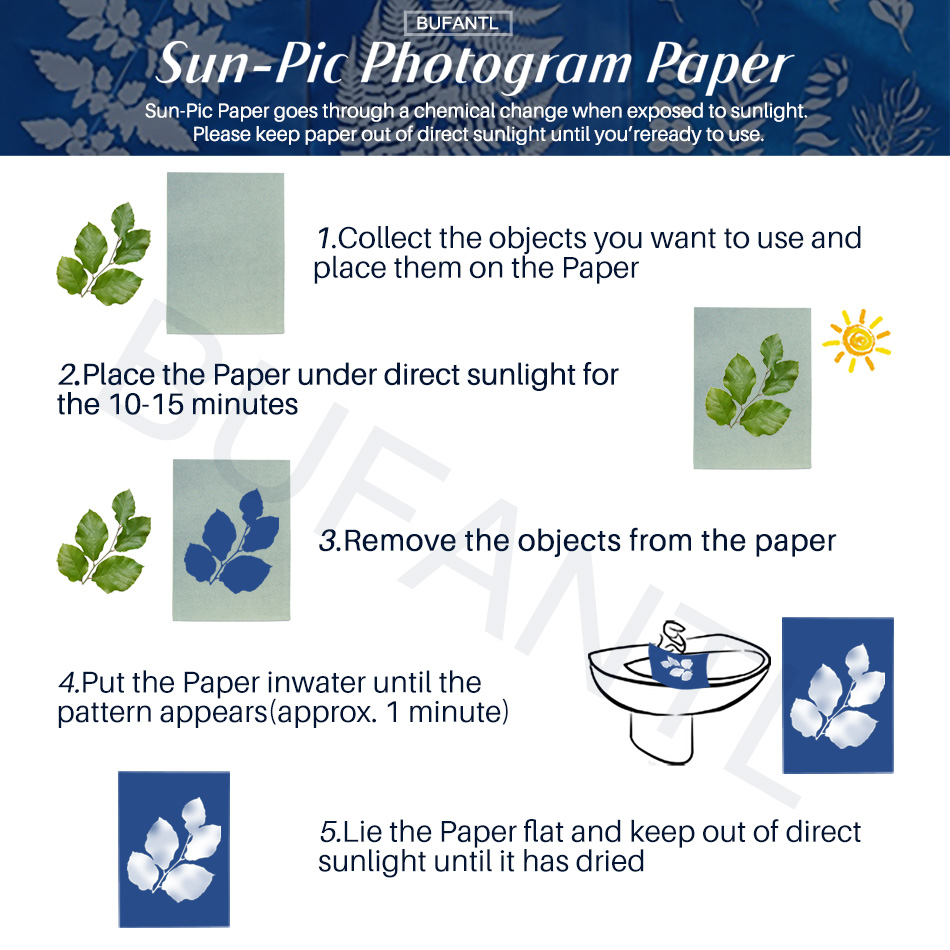 Cyanotype Paper 12 Sheets Refi - Lighting In Photography For Beginners recension och pris